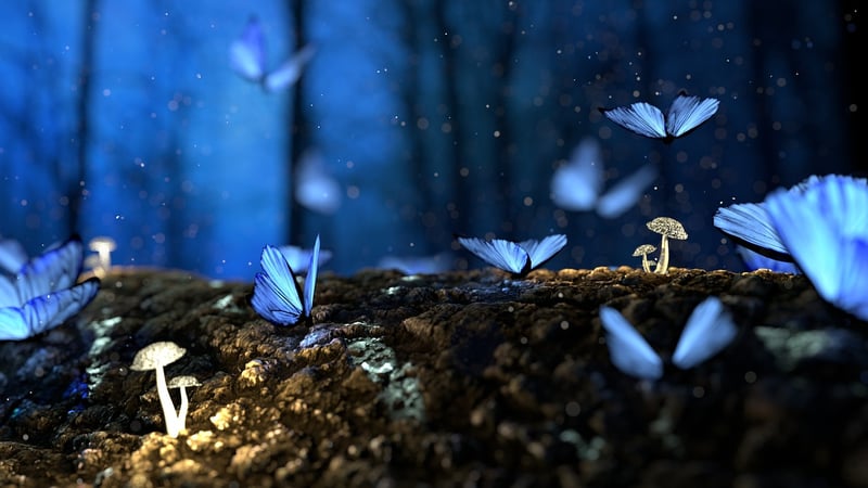 Enchanted Classes