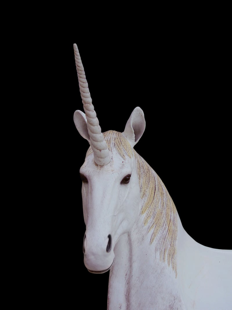 Unicorn Meadows at Dusk